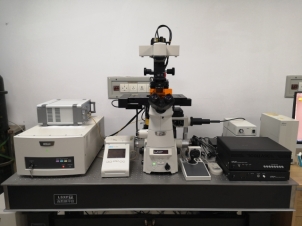 活细胞微流控芯片原位培养分析系统